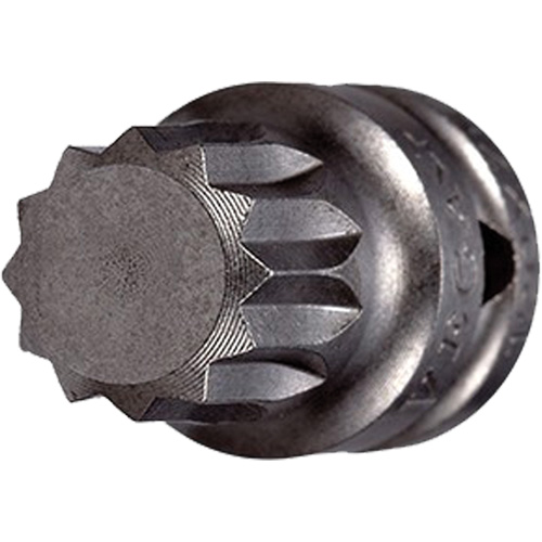 Embout &agrave; ins&eacute;rer, Triple carr&eacute;, 5 x 3/4" lo, Prise 1/4" Toolneeds Inc.
