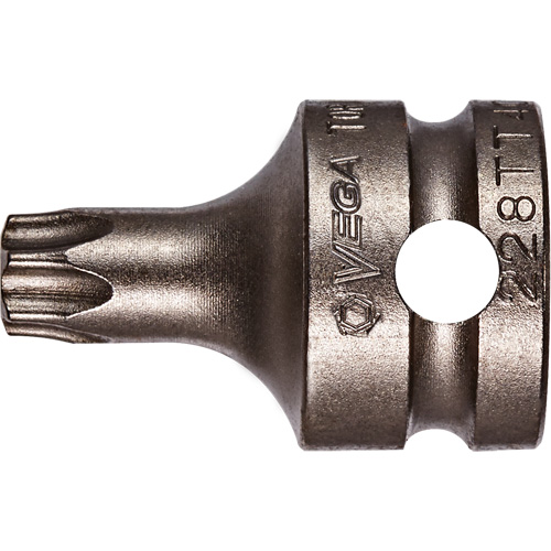 Embout &agrave; ins&eacute;rer, Torx inviolable, 25 x 1" lo, Prise 3/8" Toolneeds Inc.