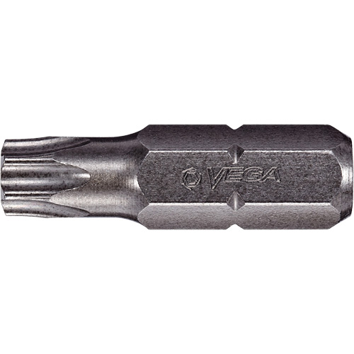 Embout inviolable Toolneeds Inc.