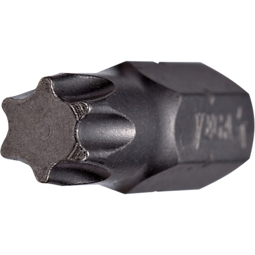 Embout inviolable Toolneeds Inc.