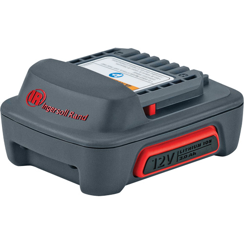 Batterie de s&eacute;rie IQV12, Lithium-ion, 12 V, 2 Ah Toolneeds Inc.