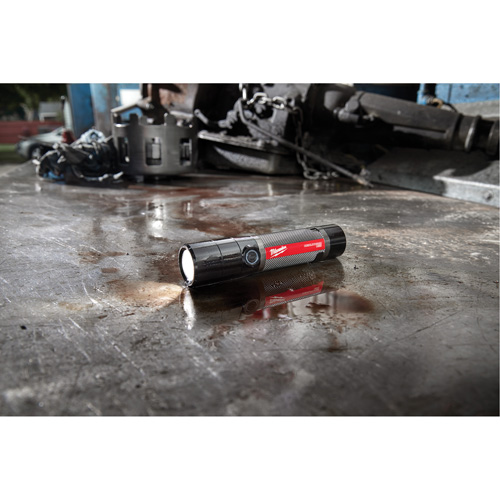 Lampe de poche compacte compatible USB, DEL, 800 lumens, Piles Rechargeable Toolneeds Inc.