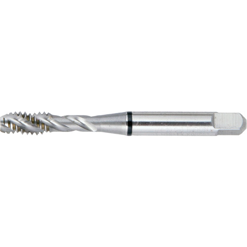 Taraud BT super haute performance &agrave; cannelure spiral&eacute;e Drillco, Acier rapide, Filet de 1/4"-28, 2-1/2" l Toolneeds Inc.