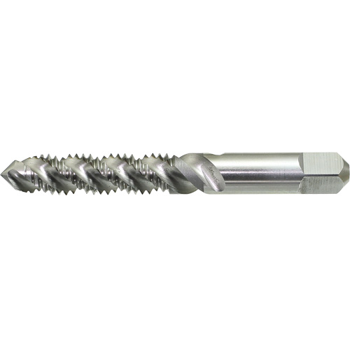 Taraud &agrave; main &agrave; cannelure spiral&eacute;e DRILLCO, Acier rapide, Filet 1/4"-20 Toolneeds Inc.