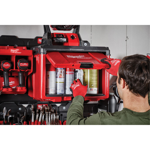 Armoire &agrave; outils Packout, 15" x 15" x 20", Noir/Rouge Toolneeds Inc.