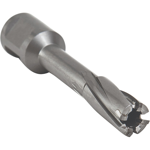 Outil de coupe annulaire avec mandrin soud&eacute;, Diam&egrave;tre de 12 mm, Carbure, Profondeur de la coupe de 55 mm, Tige 3/4" Toolneeds Inc.