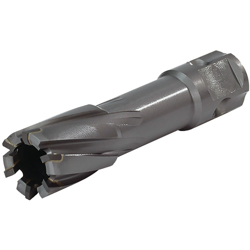 Universal Shank Annular Cutter, 1/2" Diameter, Carbide, 2" Depth of Cut, 3/4" Shank Toolneeds Inc.