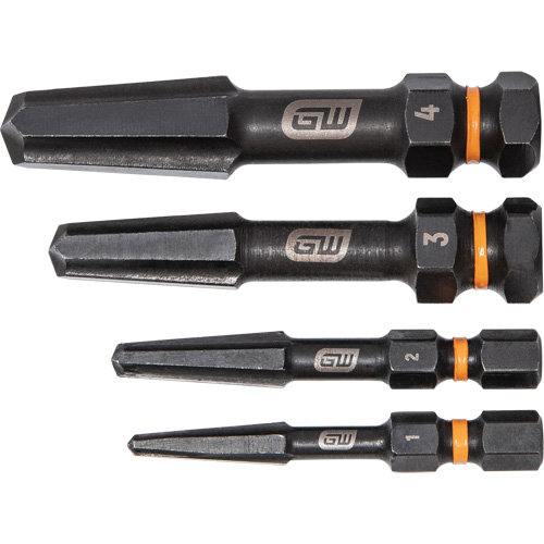 Bolt Biter Screw Extractor Set, High Speed Steel, 4 Pieces Toolneeds Inc.