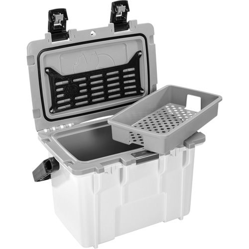 14QT Personal Cooler, 3.5 gal. Toolneeds Inc.