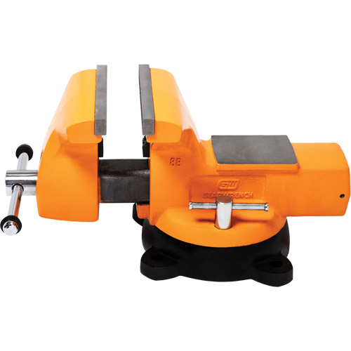 Mechanic's Bench Vise with Anvil, 8" Jaw Width Toolneeds Inc.