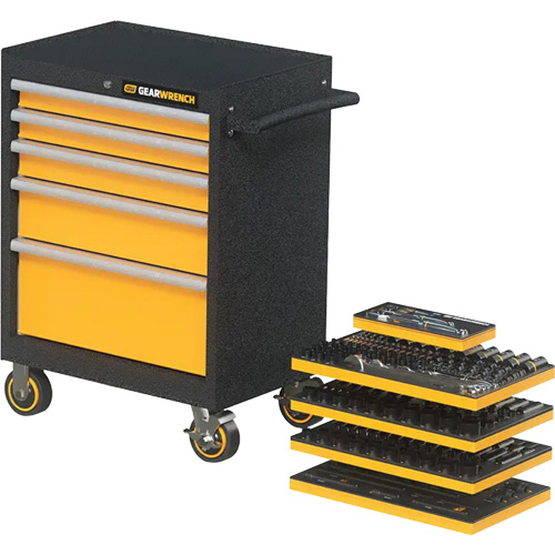Mechanics Tool Set in Modular Foam Trays with Storage Unit, 247 Pieces Toolneeds Inc.