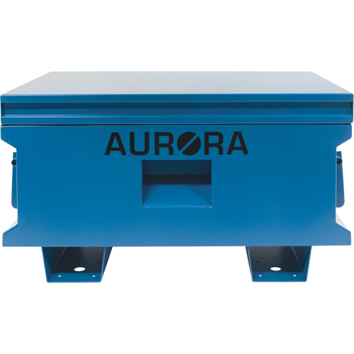 Coffre &agrave; outils de chantier, 33" x 20-3/10" x 18-3/10", Acier, Bleu Toolneeds Inc.