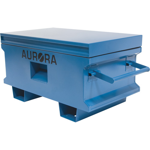 Coffre &agrave; outils de chantier, 33" x 20-3/10" x 18-3/10", Acier, Bleu Toolneeds Inc.