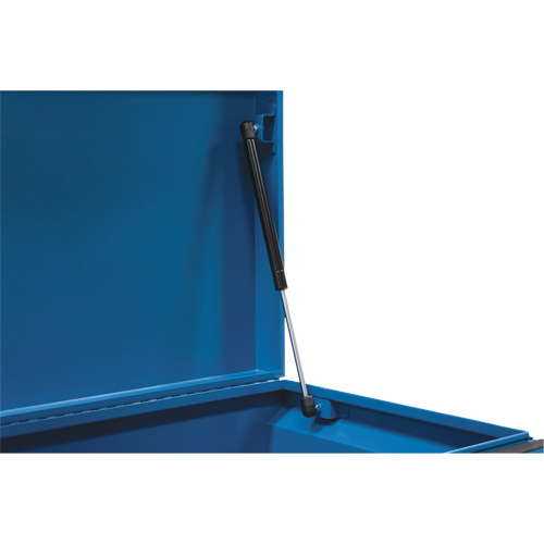 Coffre &agrave; outils de chantier, 33" x 20-3/10" x 18-3/10", Acier, Bleu Toolneeds Inc.
