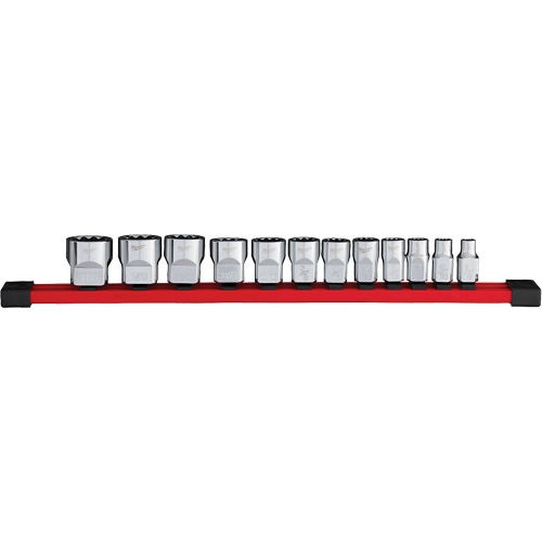 12-Point SAE Socket Set, 12 Pcs, 3/8" Drive Size Toolneeds Inc.
