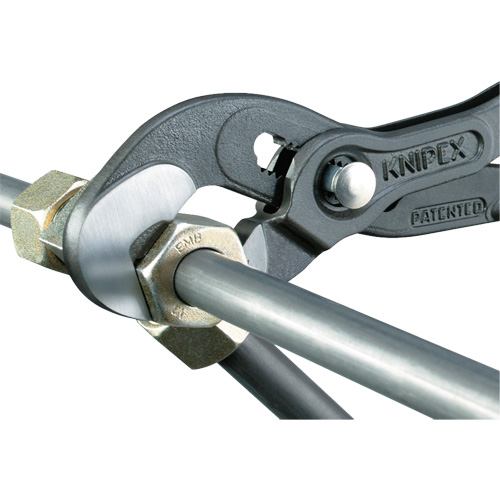 Pince Raptor, 10" Toolneeds Inc.