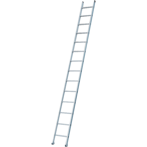 Industrial Heavy-Duty Extension/Straight Ladders, 8', Aluminum, 300 lbs., CSA Grade 1A Toolneeds Inc.
