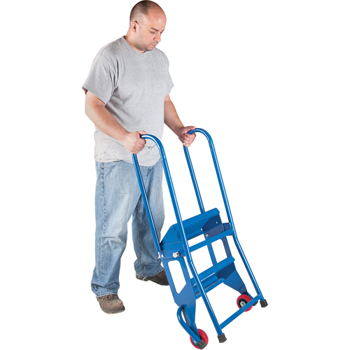 Portable Folding Ladder, 2 Steps, Perforated, 20" High Toolneeds Inc.