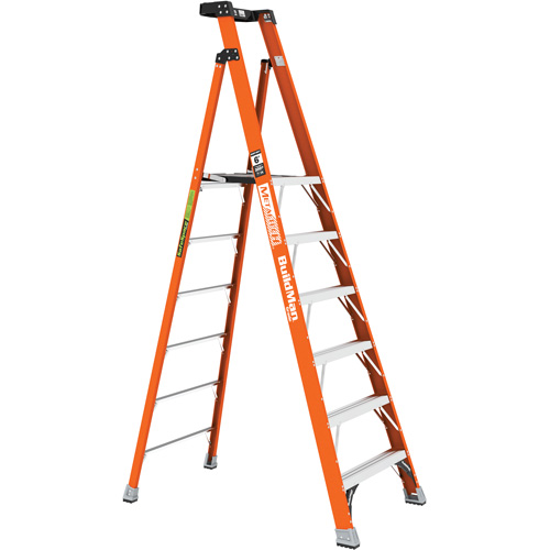 Safespace Platform Step Ladder, 6', 300 lbs. Cap. Toolneeds Inc.