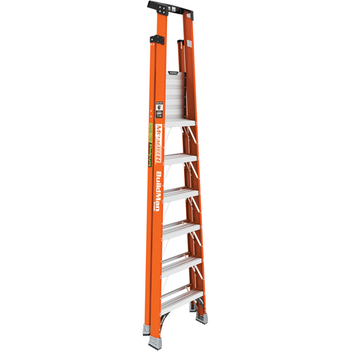 Safespace Platform Step Ladder, 6', 300 lbs. Cap. Toolneeds Inc.