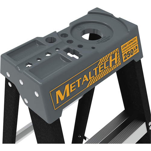 Step Ladder, 4', Fibreglass, 250 lbs. Capacity, Type 1 Toolneeds Inc.