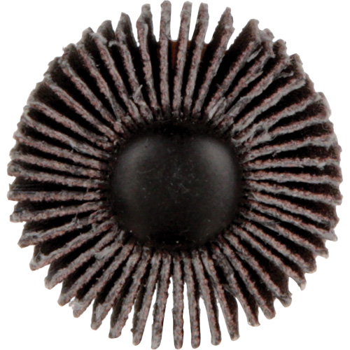 Meule &agrave; lamelles Standard Abrasives, Oxyde d'aluminium, Grain 120, 1" x 1" x 1/4" Toolneeds Inc.