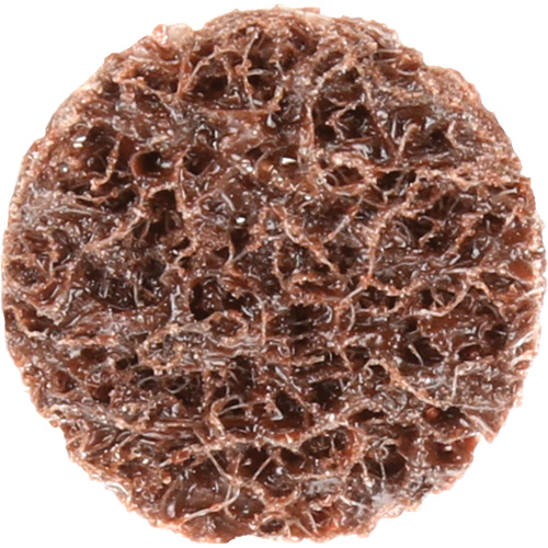 Standard Abrasives Quick-Change Surface Conditioning Disc, 3/4" Dia., Coarse Grit, Aluminum Oxide Toolneeds Inc.