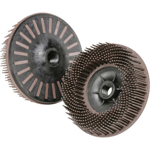 Disques radiaux bristle pour meuleuses angulaires Scotch-Brite, C&eacute;ramique, Grain 36, 4-1/2" dia. Toolneeds Inc.