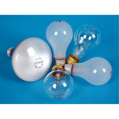 Incandescent Lamps - Long Life Toolneeds Inc.
