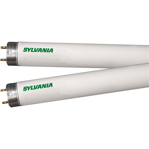 Lampes fluorescentes, 32 W, T8, 4100 K, Longueur de 48" Toolneeds Inc.