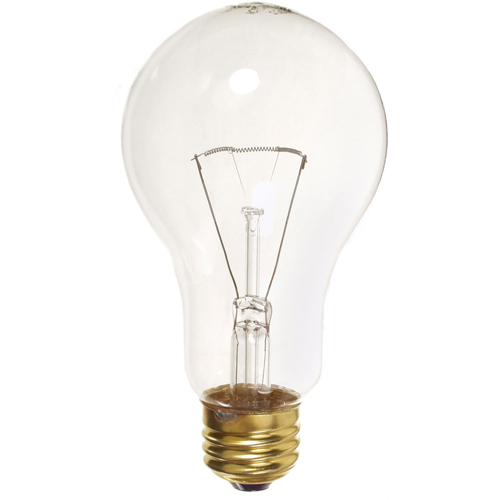 Economy Line Incandescent Lamps Toolneeds Inc.