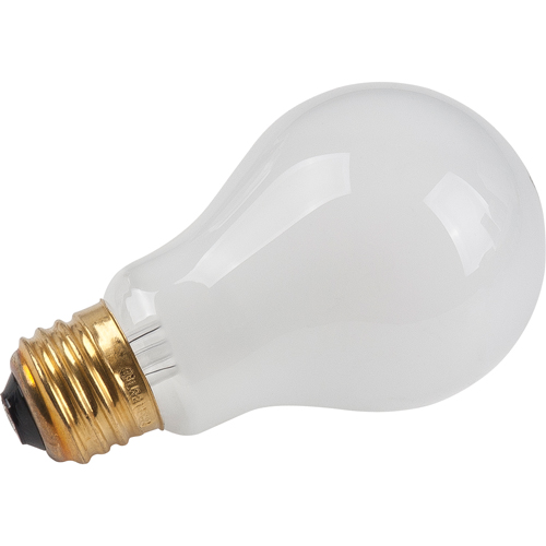 Economy Line Incandescent Lamps Toolneeds Inc.