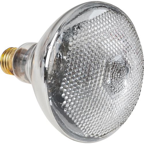 Economy Line Incandescent Lamps Toolneeds Inc.