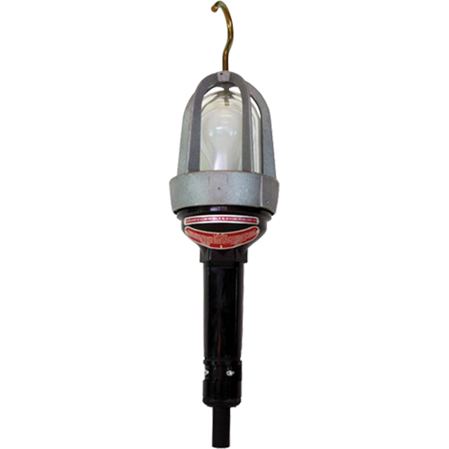 Baladeuses pour emplacements dangereux, DEL, 20 W, 2400 Lumens Toolneeds Inc.