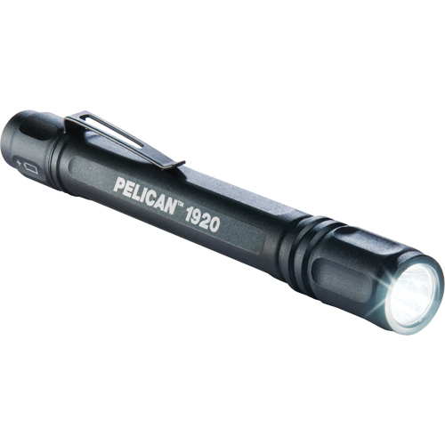Lampes de poche ProGear 1920, DEL, 120 lumens, Piles AAA Toolneeds Inc.