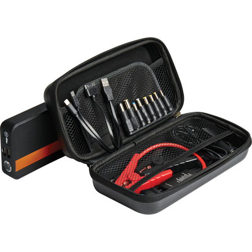 Pro Multi-Functional Jump Starter Toolneeds Inc.