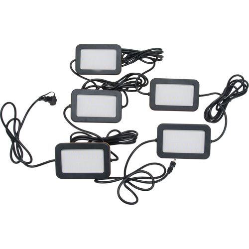 Chaîne de baladeuses DEL, 5 Lumi&egrave;res, 50' lo, Boîtier en Plastique Toolneeds Inc.