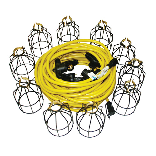 LED Stringlights, 10 Lights, 100' L, Metal Housing Toolneeds Inc.
