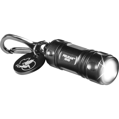 Keychain Flashlight Toolneeds Inc.