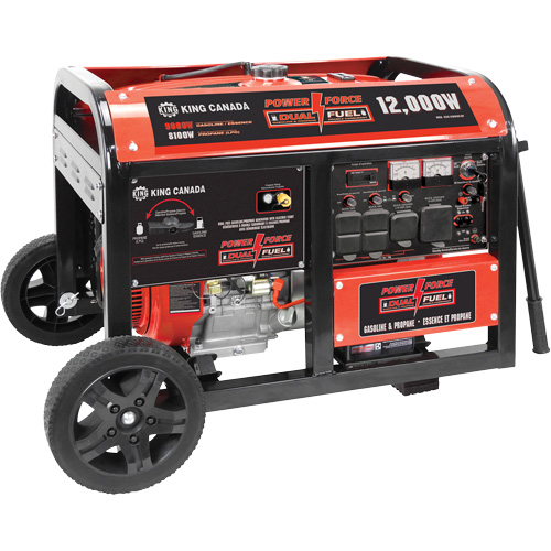 G&eacute;n&eacute;ratrice &agrave; essence/propane &agrave; d&eacute;marreur &eacute;lectrique Toolneeds Inc.