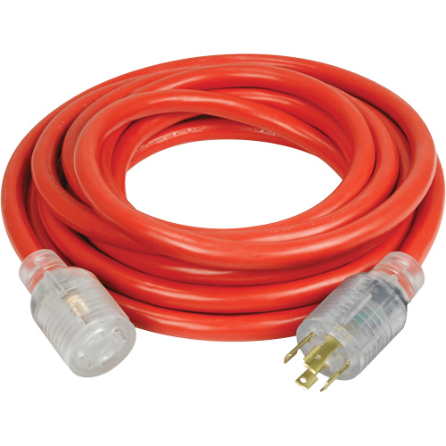 Generator Extension Cord with Quad Tap, Outdoor, 10 AWG, 30 A, 4 Outlet(s), 25' Toolneeds Inc.