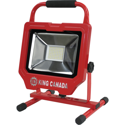 Work Light, LED, 36 W, 4000 Lumens, Aluminum Housing Toolneeds Inc.