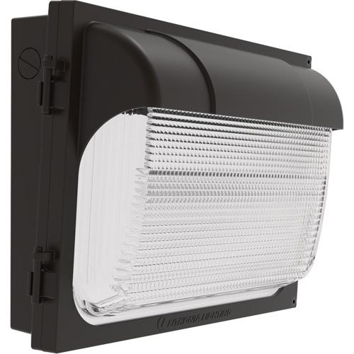 TWX Wall Luminaire, LED, 480 V, 9 W - 54 W, 14" H x 18" W x 5" D Toolneeds Inc.