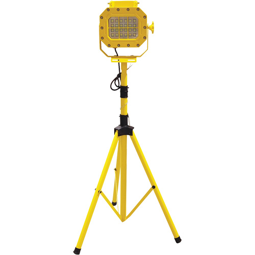 Explosion Proof Floodlight with Tripod, LED, 40 W, 5600 Lumens, Aluminum Housing Toolneeds Inc.