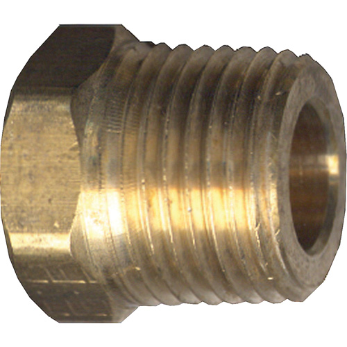 Hex Head Cored Plug, Pipe, 1/4" Dia., Brass Toolneeds Inc.