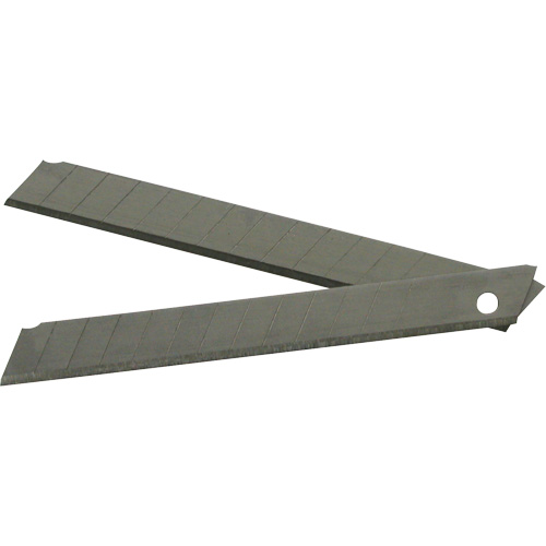 Replacement Blade, Snap-Off Style Toolneeds Inc.