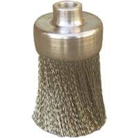 Brosses plates, rondes ou Roto Toolneeds Inc.