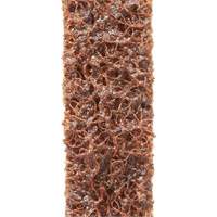 Scotch-Brite Surface Conditioning File Belts Toolneeds Inc.