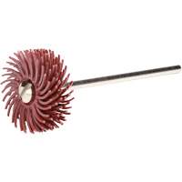 Scotch-Brite Radial Bristle Discs, P220X Grit, 3/4" Dia. Toolneeds Inc.