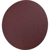 Disque en toile PSA 248D, 12" dia., Grain 36, Oxyde d'aluminium Toolneeds Inc.